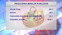 PRODUCEREA MERELOR ÎN MOLDOVA