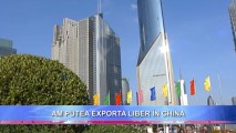 AM PUTEA EXPORTA LIBER ÎN CHINA