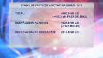 FONDUL DE PROTECȚIE A VICTIMELOR STRĂZII, 2013