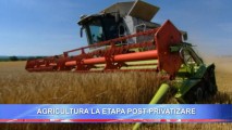 AGRICULTURA LA ETAPA POST-PRIVATIZARE