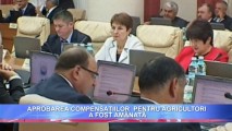APROBAREA COMPENSAȚIILOR PENTRU AGRICULTORI A FOST AMÂNATĂ
