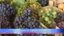 PROCEDURA DE EXPORT ÎN ROMÂNIA