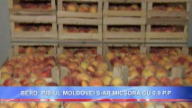 BERD: PIB-UL MOLDOVEI S-AR MICȘORA CU 0,9 P.P