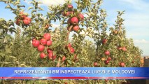 SUPORT PENTRU LIVEZILE DIN MOLDOVA! BM OFERĂ 45 DE MILIOANE DE DOLARI PENTRU DEZVOLTAREA AGRICULTURII