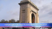 EXPORTURILE DE FRUCTE ÎN ROMÂNIA AU CRESCUT