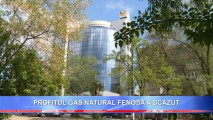 PROFITUL GAS NATURAL FENOSA A SCĂZUT
