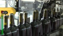 Companiile vinicole chineze, în căutarea vinurilor moldovenești