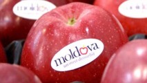 Молдова сможет поставлять в ЕС больше фруктов