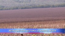 Retrospectiva sectorului agricol din 2014