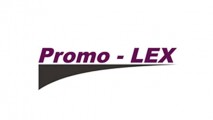 Promo-LEX: для электоральных конкурентов нужно расширить санкции
