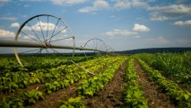 Agricultura Moldovei se va moderniza printr-un program european