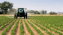 ЕС выделит на модернизацию сельского хозяйства Молдовы €64 млн