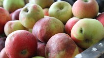 Молдова получит 120 млн евро для поддержки производителей фруктов