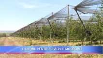 Parlamentul a ratificat contractul de finanţare pentru ”Livada Moldovei”