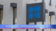 Prognoza OPEC: Cererea de petrol pentru 2015 nu se va modifica