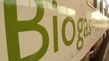 Китай реализует в Молдове проект по производству биогаза из сельхозотходов