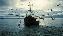 Стоимость богатств мирового океана оценили в $24 трлн