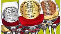 Молдавские виноделы завоевали две медали во Франции