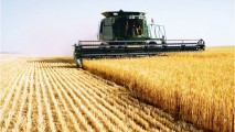 Сельхозпроизводители могут воспользоваться ссудами до 2 млн. евро из польского кредита