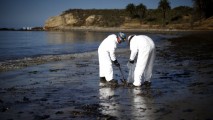 В калифорнийской Санта-Барбаре объявлено чрезвычайное положение из-за разлива нефти