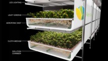 Salata crescută la bec: Cum va arăta cea mai mare fermă verticală din lume