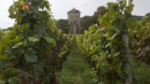 Бургундия и Шампань включены в список Всемирного наследия ЮНЕСКО