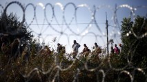 Ungaria instalează un gard de sârmă ghimpată la frontiera cu Slovenia