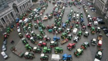 Разгневанные парижские фермеры на тракторах добрались до Брюсселя