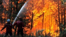 В Калифорнии эвакуируют 13 тысяч человек из-за пожара