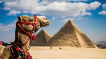 Турбизнес в Египте несет потери