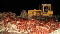 38 de tone de căpșuni din Ucraina au fost strivite de buldozerele rusești