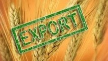 Россия установила рекорд по экспорту зерна
