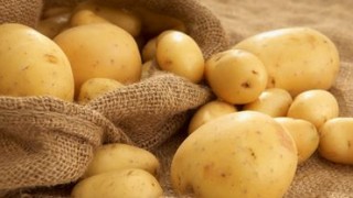 В Молдове более чем в два раза сократилось производство картофеля