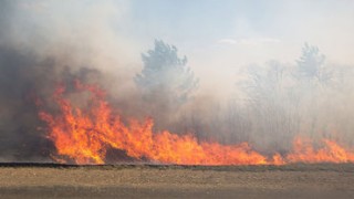 Aproape toate raioanele Moldovei sunt cuprinse de flăcări