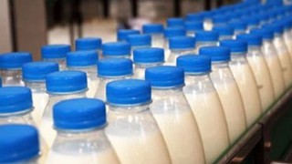 Молдова начнет поставлять молоко на рынки ЕС не раньше 2018 года