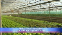 PRODUCĂTORII EUROPENI VOR AVEA PARTE DE SUSȚINERE