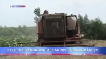 CELE TREI NENOROCIRI ALE AGRICULTURII ROMÂNEȘTI