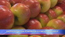 PRODUCĂTORII DIN ROMÂNIA ÎȘI ESTIMEAZĂ PAGUBELE