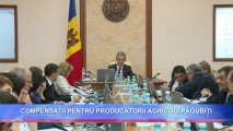 COMPENSAȚII PENTRU PRODUCĂTORII AGRICOLI PĂGUBIȚI