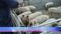 В ПРИДНЕСТРОВЬЕ НАЧАЛА ДЕЙСТВОВАТЬ СЕЗОННАЯ ПОШЛИНА НА МЯСО