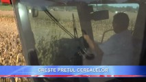 CEREALELE SE SCUMPESC SEMNIFICATIV. LA CÂT SUNT ESTIMATE GRAMINEELE ÎN STRĂINĂTATE