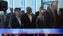 PROGNOZA OPEC: CEREREA DE SURSE ENERGETICE VA CREȘTE