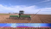 AGRICULTORII MOLDOVENI NU-ȘI MAI ASIGURĂ RECOLTELE