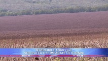 TERENURILE AGRICOLE VOR PUTEA FI CUMPĂRATE DE STRĂINI