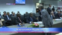 ÎN AȘTEPTAREA DECIZIEI OPEC: SE VA REDUCE SAU NU PRODUCȚIA DE PETROL?