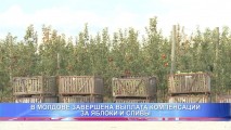 В МОЛДОВЕ ЗАВЕРШЕНА ВЫПЛАТА КОМПЕНСАЦИЙ ЗА ЯБЛОКИ И СЛИВЫ