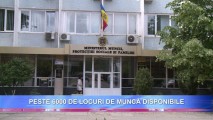 Moldovenii dispun de peste 6000 de locuri de muncă