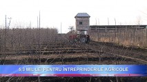 BM oferă 5,3 mil. lei pentru întreprinderile AGRICOLE din Moldova