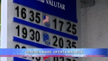 Euro și dolarul cresc peste noapte! Vezi evoluția ofertei nete de VALUTĂ STRĂINĂ