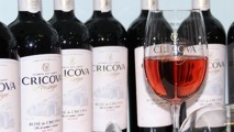 Cotele de export de VIN din Macedonia vor fi anulate